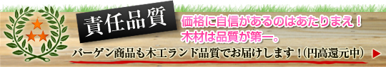 �ӔC�i�� �~���Ҍ���